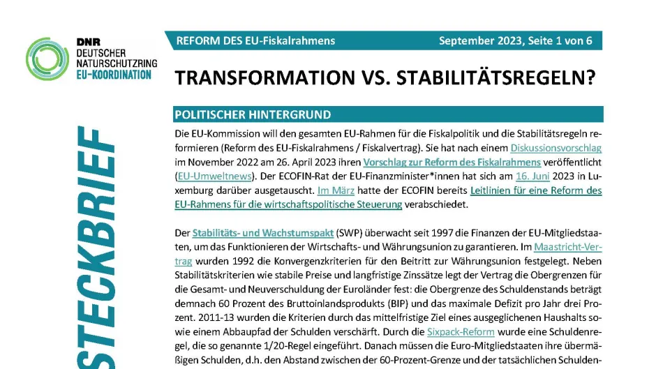 Screenshot Steckbrief zur Reform der EU-Fiskalpolitik